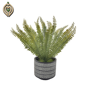 Plante de fougère artificielle écologique <span class=keywords><strong>en</strong></span> <span class=keywords><strong>pot</strong></span> <span class=keywords><strong>en</strong></span> plastique pour la décoration intérieure ou les mariages - Product Image 3