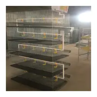 H Type Quail Breeding Cage, Battery Layer