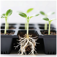 Plateau de semis agricole à 105 alvéoles pour la propagation des plantes