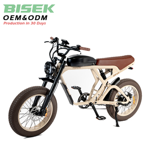 OEM Nueva gran oferta Potente Bicicleta eléctrica de asiento ancho de 20*4,0 pulgadas Neumático gordo para montar en carretera Vintage Ebike Amortiguador completo Bicicleta eléctrica de asiento ancho - Product Image 1