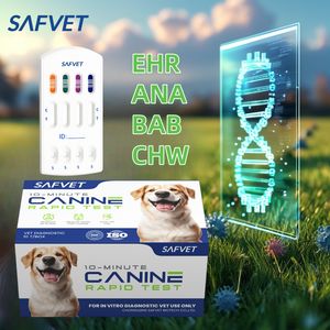 Canine Heartworm Chw Kit de test rapide Test de ver cardiaque félin pour chiens - Product Image 3