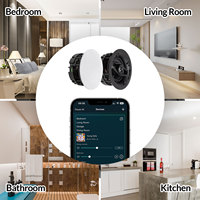 Altavoz de Techo Inalámbrico Multiroom WBC65 de Alta Gama de 6.5 Pulgadas, Fácil Instalación, Control por Web y PC, Aplicación Oficial