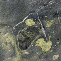 Dalle de marbre vert paon de Chine - Marbre naturel vert foncé avec des veines blanches pour comptoir, mur et sol, poli