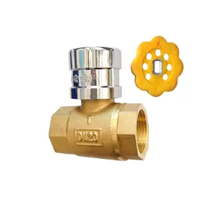 DN15 DN20 Waterproof Magnetic Lock Brass Ball Valve with Lock Key