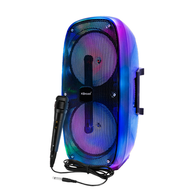 Design Best New Style U Disk FM RGB Light Portable Handheld Speaker Indoor and Outdoor Gatherings Karaoke Speaker