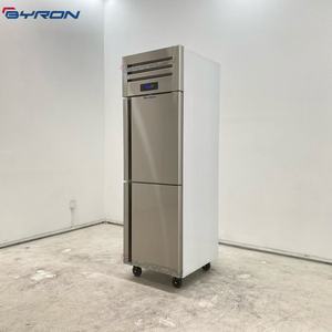 Congélateur vertical double en acier inoxydable, durable, à température unique, commercial, 2 portes, à refroidissement par air, équipement de réfrigération avec vitrine - Product Image 5