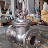 Válvula de Compuerta de Acero Inoxidable (SS) de 4"-24" DN100-DN600, Clase 150, Bridada OS&Y, en Acero Inoxidable 316/304/CF8/CF8M/Duplex/Inconel625