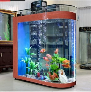 Aquarium écologique en forme de balle pour salon, grand écran, verre ultra-clair et courbé, pour poissons rouges de taille moyenne - Product Image 6