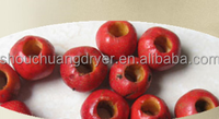 Shouchuang Commerciële Fruitputmachine Olijfbak Extractiemachine Kersen Pitter Put Verwijderingsmachine