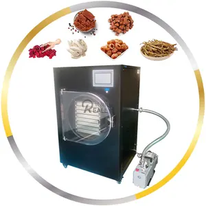 Global New Technology High Quality Vegetables Fruit Food Vacuum Dog Treat Freeze Dryer Lyophilizer Freeze Dryer Machine For Food