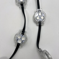 Luces LED de Punto de 30 mm, 12 V, IP67, para Paisajes Exteriores, Navidad, Fiestas, RGB, SMD5050, Precio de Fábrica