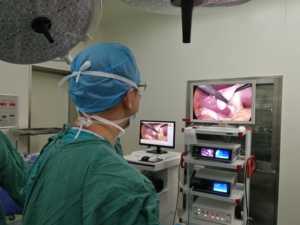 Unité de traitement endoscopique <span class=keywords><strong>Shrek</strong></span>, tour de laparoscopie, ensemble complet d'instruments chirurgicaux pour la chirurgie hystéroscopique - Product Image 6