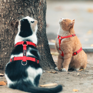 Et Arness at hhest Trap trampa Ype oogs traps trampas ututdoor alalking eat elelts - Product Image 2