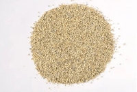Perlite et laitier de coulée pour un nettoyage efficace des cendres Agent de nettoyage industriel