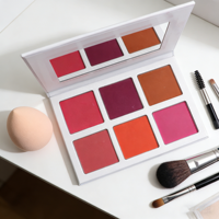 Cosmétiques OEM - Marque privée, palette de fards à joues 6 couleurs, résistante à l'eau, en poudre pressée, pour le maquillage du visage, utilisation comme illuminateur, palette DIY