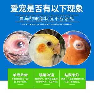 Gouttes oculaires pour oiseaux pour perroquets 15 ml – Soulagement rafraîchissant pour animaux de compagnie - Product Image 4