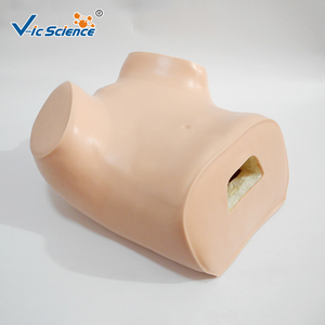 Medische Opleiding Gynaecologische Simulator Hot Sale Gynaecologische Training Simulator Medische Training Model Examen Model - Product Image 3