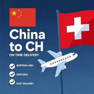 Agente de Transporte Marítimo y Aéreo de Guangdong a EE. UU., Canadá, Reino Unido y Europa, Servicio de Logística Puerta a Puerta - Product Image 5