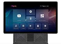 Máquina de Karaoke Profesional para Exteriores de 12 Pulgadas y 100W, Pantalla Táctil de 21.5 Pulgadas con Visualización de Letras, Sistema de Audio BT para Fiestas KTV