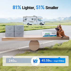 25.6V 100Ah 2560Wh LiFePO4 Battery Built in 100A BMS EV Grade A Cells For Solar Energy Storage RV Marine Redodo - Product Image 4