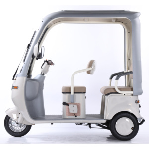 QSD Nouveau Design Écologique 1000W Véhicule Électrique Auto-Rickshaw Éco-Tricycle Passager E Tuk Tuk <span class=keywords><strong>Toto</strong></span> Scooter à 3 Roues - Product Image 1