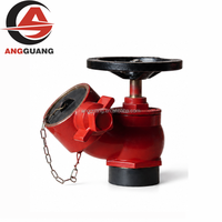 Robinet de raccordement pour hydrant d'incendie avec volant et sortie latérale pour systèmes de conduites humides et de conduites sèches