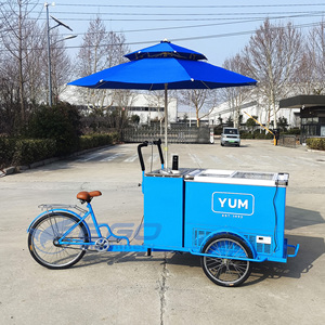 Three-Wheel Ice Food Car Front Freezer Street Food Freezer Bike - Product Image 6