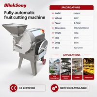 Automatische Fruit- en Groentesnijder, -rasp en -snijmachine 750W, professionele voedselverwerkingsapparatuur, roestvrij staal, CE-gecertificeerd X