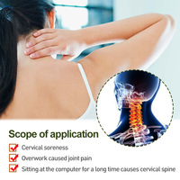 Patchs de massage à l'armoise pour soulager les douleurs musculaires, articulaires et du genou – Soin nourrissant à base de plantes – Offre spéciale