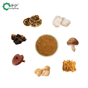 Chất lượng cao cấp thực phẩm nấm chiết xuất bột pha trộn có tính năng sư tử bờm Đông Trùng Hạ Thảo Reishi <span class=keywords><strong>Chaga</strong></span> Thổ Nhĩ Kỳ đuôi maitake chiết xuất - Product Image 1