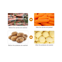 Industriële aardappel schilmachine borstelwas- en schilmachine voor chips productielijn