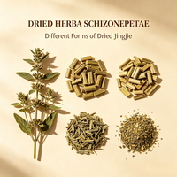 Racine de Salvia Miltiorrhiza séchée (Danshen) – Matière première végétale pour tisanes, boissons fonctionnelles, aliments naturels et additif antioxydant