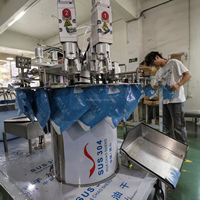 Machine de remplissage et de bouchage rotative de bureau Ding Yan pour sachets Doypack et pochettes à bec verseur, pour liquides, format compact