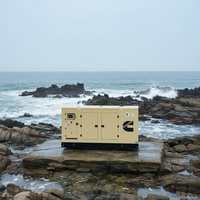 Générateur de cogénération au biogaz avec moteur Cummins 200 kW, chaleur et électricité combinées, gaz naturel, gaz biomasse, démarrage automatique, démarrage à distance, 220V DC