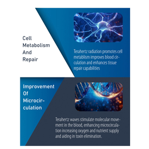 Alat Fisioterapi Punggung Adalah Perangkat Perawatan Rehabilitasi Terahertz Medis yang Digunakan untuk Pengobatan Klinis Nyeri Punggung - Product Image 4