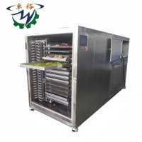 Fruit/Aardbei/Mango Vriesdroger Lyofilisatiemachine/Vriesdroogapparatuur
