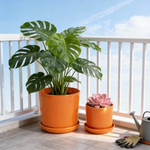 กระถางต้นไม้เซรามิกเคลือบเงาสำหรับตกแต่งบ้านและสวน ยี่ห้อ Shandong ผลิตภัณฑ์รักษ์โลก ทนทาน พร้อมขาตั้ง ขายส่ง งานฝีมือ - Product Image 2