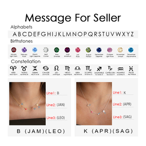 <span class=keywords><strong>Collana</strong></span> EManco con Cuore Rosso <span class=keywords><strong>Rosa</strong></span> Personalizzabile, Lettera Iniziale e Pietra Portafortuna della Costellazione, Placcata in Oro 14K/Argento per Dropshipping - Product Image 5