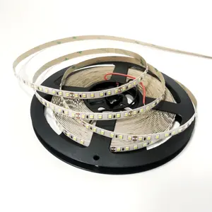 Led Strip Light 2835 24V 12W 1250lm Ra80 8mm PCB dimmable tira de led with adhesive tape for indoor lighting