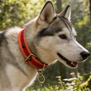 Suministros para mascotas al por mayor, collares para mascotas, collares para perros, collares ajustables para perros, correas para mascotas. - Product Image 1