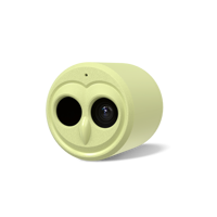 Caméra d'observation des oiseaux intelligente AI Wifi 2.4G 5G Batterie 3000mAh Étanche IP66 Diffusion en direct Caméra pour oiseaux pour jardin