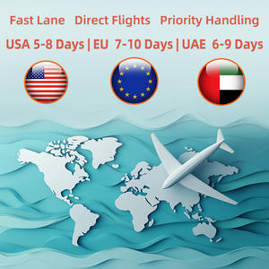 Logistieke Verzending Service Transport Snelle Levering Air + Express Naar Usa Canada Air Expediteur Vracht Expediteur Vracht Ddp - Product Image 4