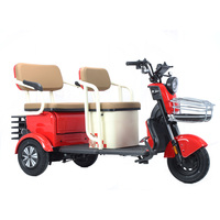 2025 nouveau vélo électrique Tricycle 3 roues 650W Vintage 3 roues vélo électrique avec panier