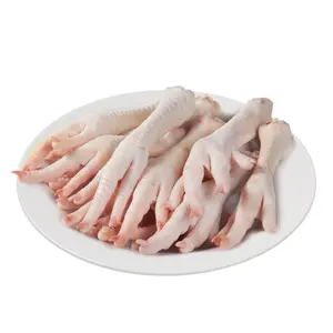 Wholesale Supplier of Natural Quality Frozen Chicken Feet | Frozen Chicken Bulk Quantity For Export at affordable price