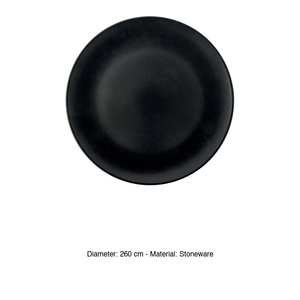 Assiette à dîner M1934 en grès noir Monaco 26 cm pour la restauration, les hôtels et la vente en gros - Product Image 3