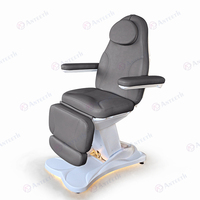 Fauteuil/Lit de Beauté Électrique Anteeth Modèle Économique pour Spa et Traitements Esthétiques Faciaux