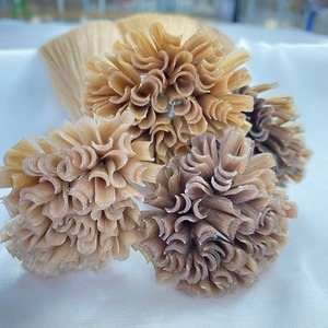 Extensions de cheveux Premium Snail Tip, cuticules alignées, Remy vietnamien, double tirage, double trame machine, vente en gros, <span class=keywords><strong>blond</strong></span> décoloré - Product Image 1