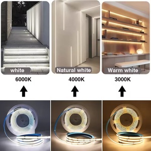 Bande lumineuse <span class=keywords><strong>LED</strong></span> COB 12/24V DC, 10 mètres, éclairage paysager, 5 mètres, couleur unique blanche, IP67, bande <span class=keywords><strong>LED</strong></span> COB - Product Image 6