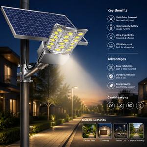 2024 루롱 고출력 태양광 <span class=keywords><strong>LED</strong></span> 가로등 IP65 방수 500W 배터리 정원 야외 램프 (전구 18개 포함) - Product Image 3