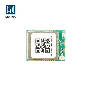 LoRaWAN Module Nordic LoRa Built-in TCXO 34 Pins For Sensor And Smart City OEM Supported